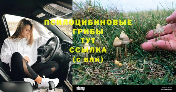 бошки Армянск