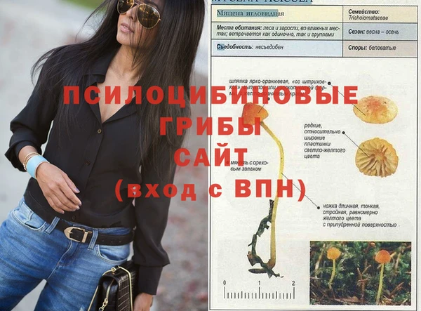 бутират Арсеньев